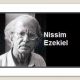 enterprise by nissim ezekiel