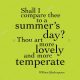 Shall I compare thee sonnet 18 by Shakespeare